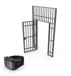 Probation Violations