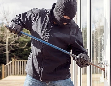 Theft / Property<br/> Crimes