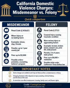 misdemeanor v felony domestic violence charges